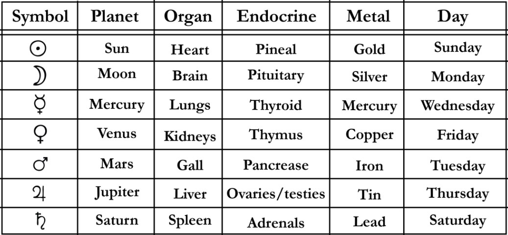 The Alchemical Map: Seven planetary-metal-organ-temporal correspondences showing how cosmic frequencies organize through biological water. Each row represents a complete resonance system—planet, metal, organs, endocrine gland, and day—unified through the water medium that conducts them all.